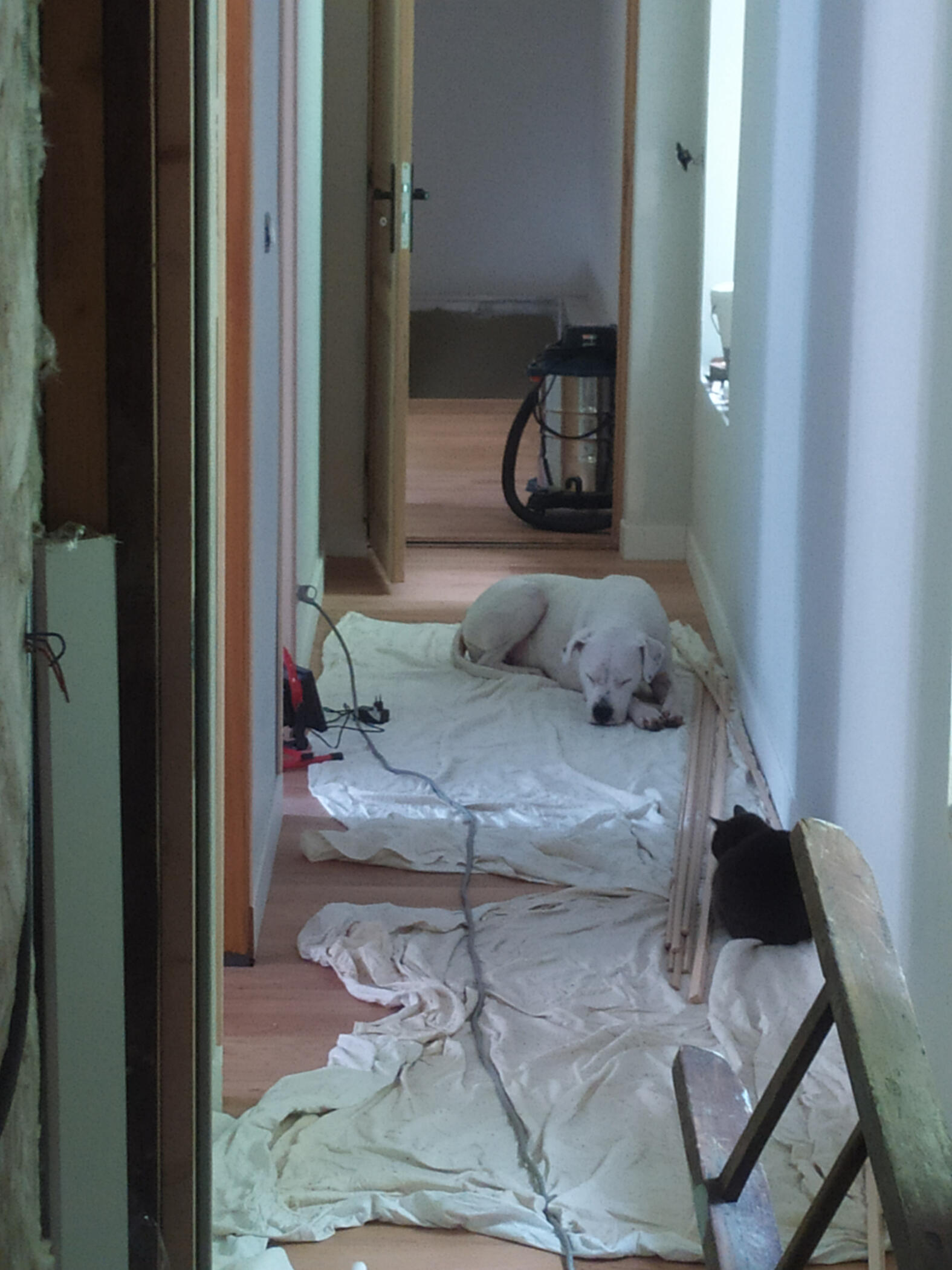 Corridor in progress